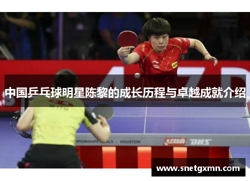 中国乒乓球明星陈黎的成长历程与卓越成就介绍