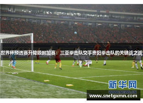 世界杯预选赛升降级附加赛：三亚拳击队交手贵阳拳击队的关键战之战